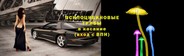 марки lsd Абаза