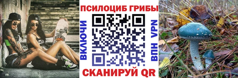Псилоцибиновые грибы мухоморы  omg   Тотьма 