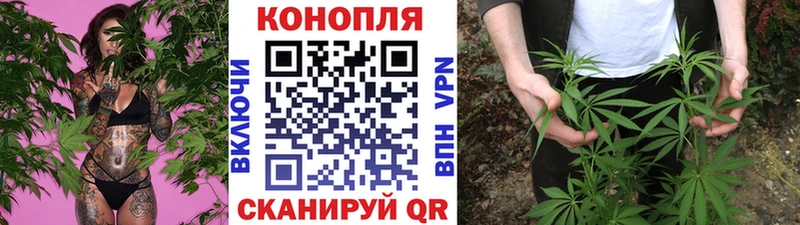 Конопля семена  Тотьма 